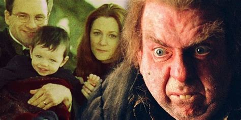 peter pettigrew harry potter|peter pettigrew harry potter mother.